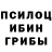 Псилоцибиновые грибы GOLDEN TEACHER KaRUS TV