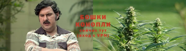 крисы Остров