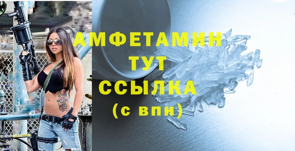 молекула духа Осташков
