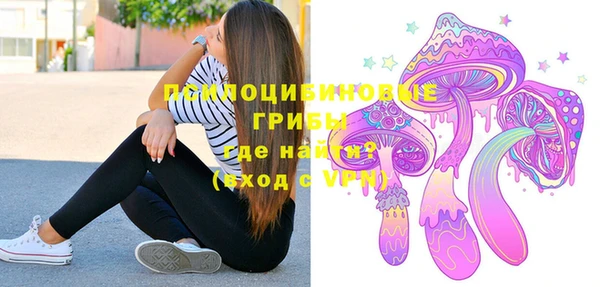 молекула духа Осташков