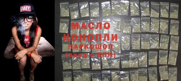молекула духа Осташков