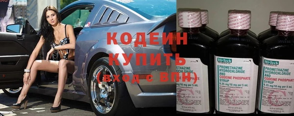 молекула духа Осташков