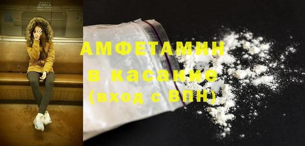молекула духа Осташков