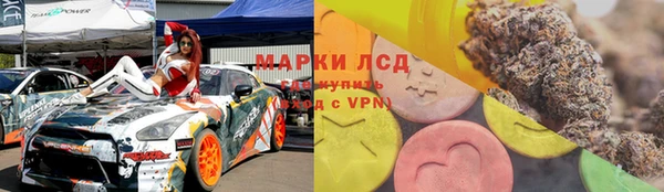 молекула духа Осташков